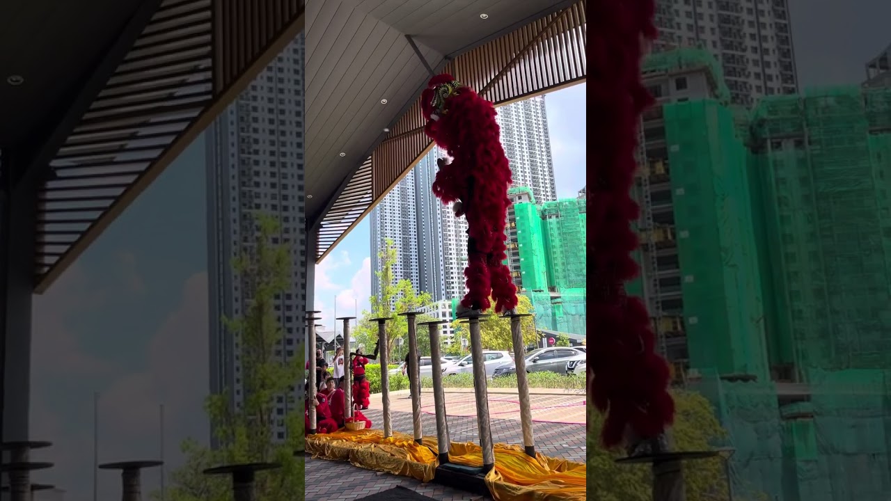 Lion Dance Kiara Bay Gallery