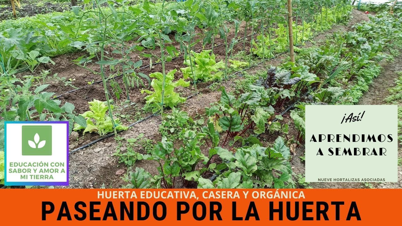 PASEANDO POR LA HUERTA, UNA FORMA DE RECORDAR Y APRENDER
