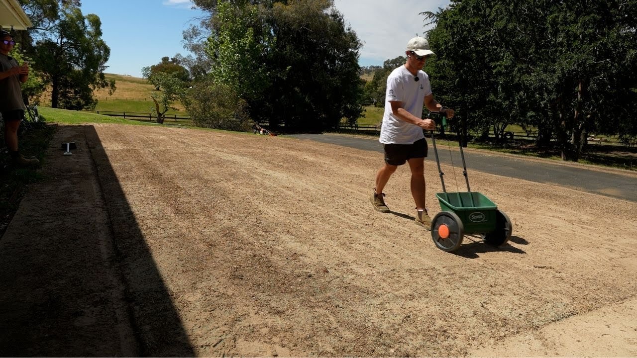 SEEDING My Front LAWN with Couch Grass