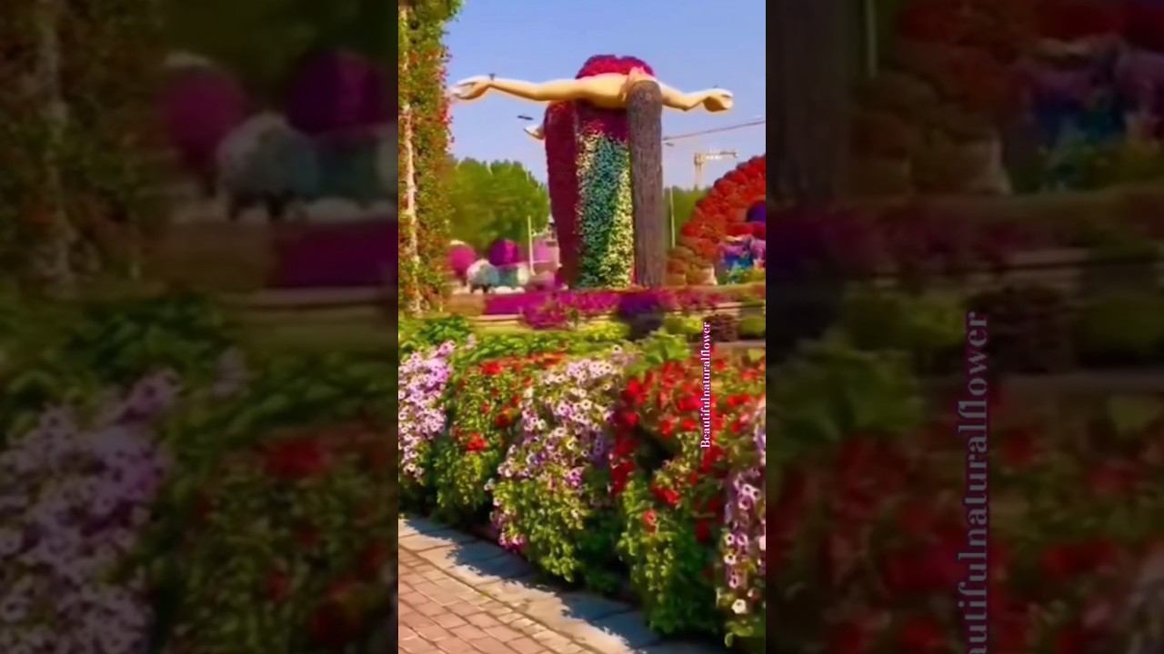 Beautiful natural flowers#flowers #roseflowergarden #beautifulflowers #nature #rose #garden #park