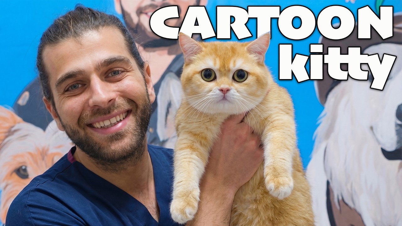 Самая послушная кошка | Почему домашним кошкам нужна мальт-паста?