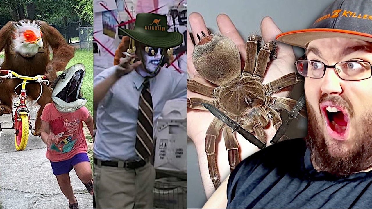 Certified Australia Moments NEW INSECT, BIGGEST SPIDER & BIRD SNAKES SLAYER | More Parz REACTION!!!
