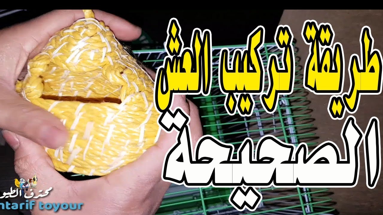 ماهي طريقة تركيب عش طيور الزيبرا ..؟ مع طريقة تحفيزهم أكثر على التزاوج