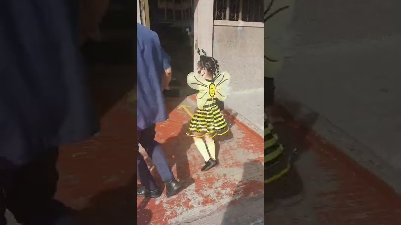 bee costume