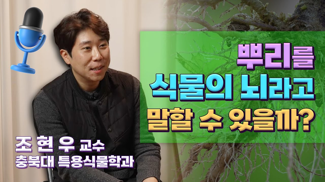 [인터뷰] 조현우_뿌리를 식물의 뇌라고 말할 수 있을까?  | 2022 봄 카오스강연 '식물행성(plant planet)'