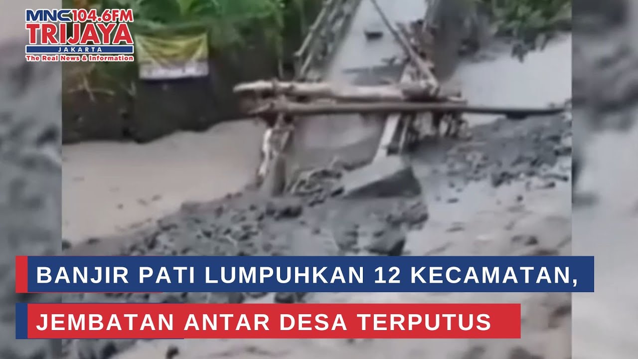 Banjir Pati Lumpuhkan 12 Kecamatan, Jembatan Antar Desa Terputus | Trijaya Update