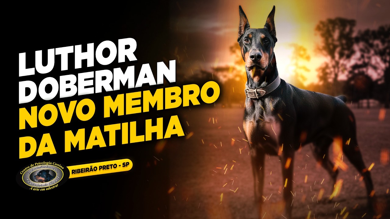 DOBERMAN — LUTHOR — QUANDO AMAR TAMBÉM É SABER DESPEDIR