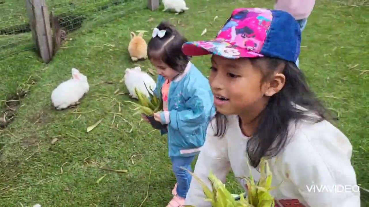 Visitando la granja Campo Verde