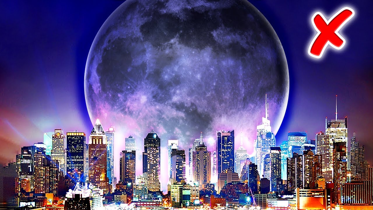 What If the Earth Had No Moon