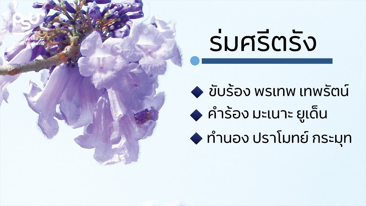 เพลง : ร่มศรีตรัง