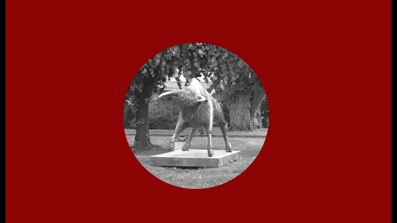 Locarno edipica