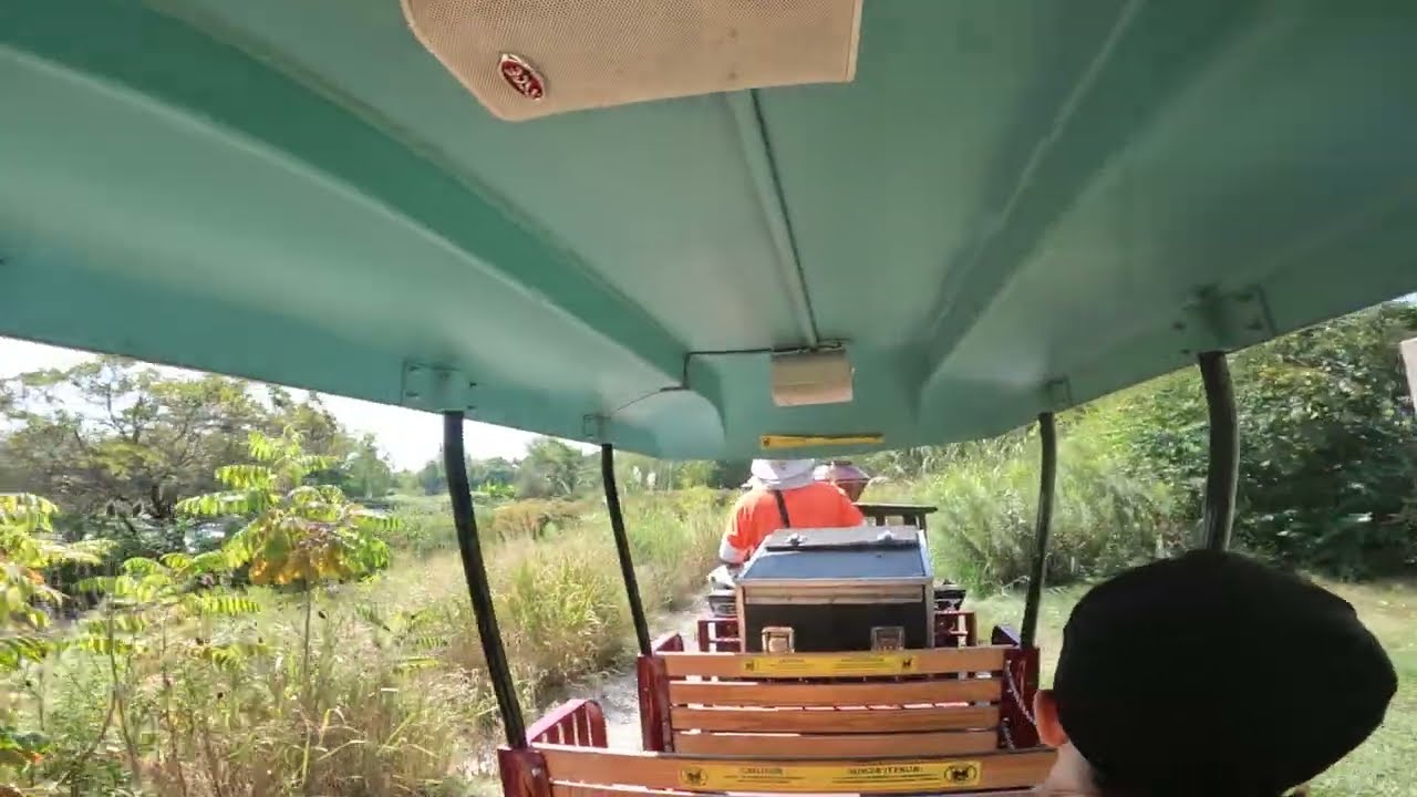 Indy Zoo Train