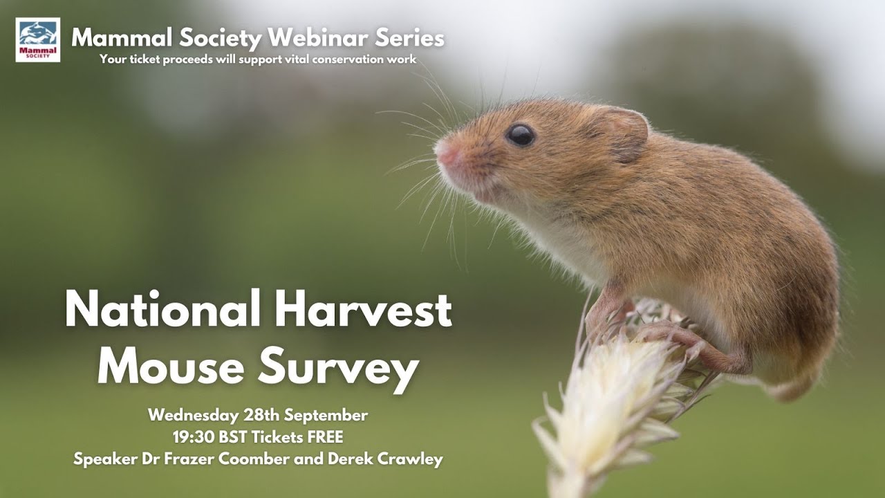 National Harvest Mouse Survey Webinar