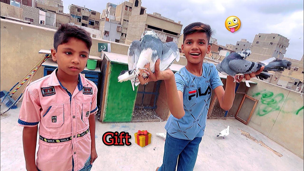 Chhote Subscribe Ko Kabutar Gift Diya 😍