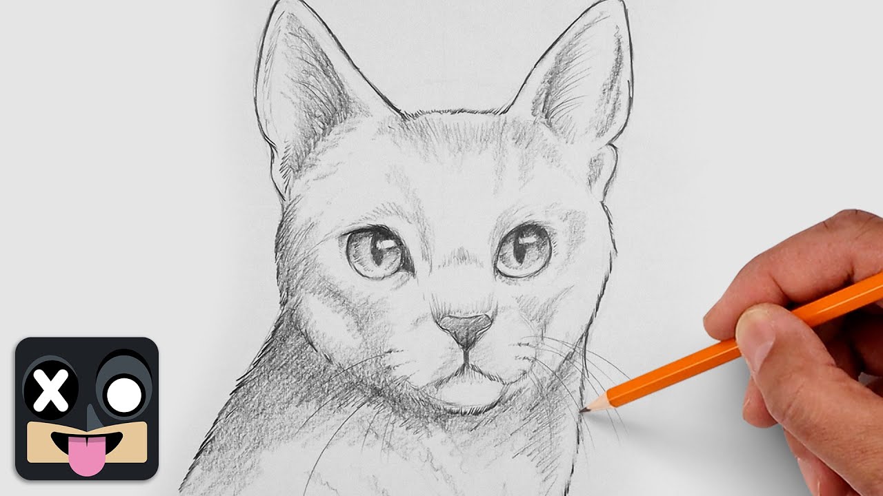 Как нарисовать русскую голубую кошку | Пошаговый урок рисования