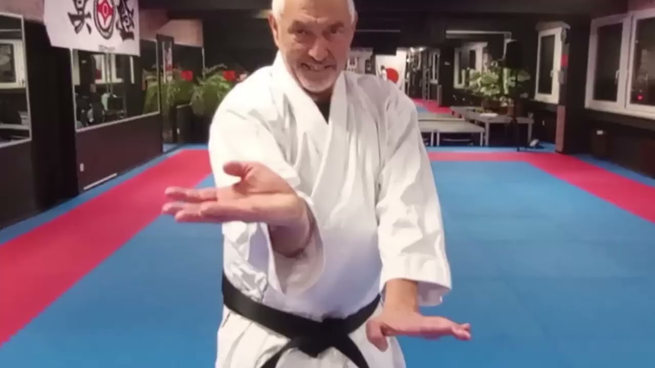 Hangetsu Kata+Anwendungen