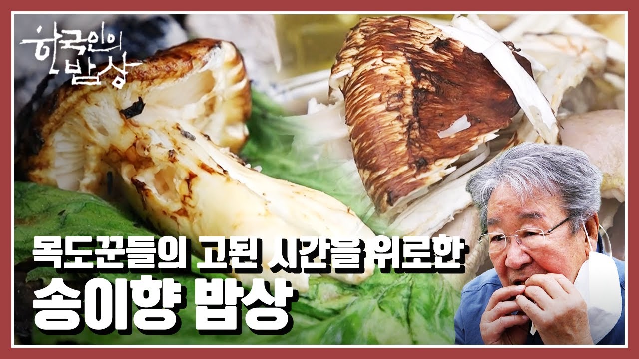 [한국인의 밥상] 춘양목의 고향 봉화⛰, 목도꾼의 고단함을 달래주던 송이 &ldquo;가을 향을 담다 &ndash; 버섯 밥상&rdquo; (KBS 20211028 방송)
