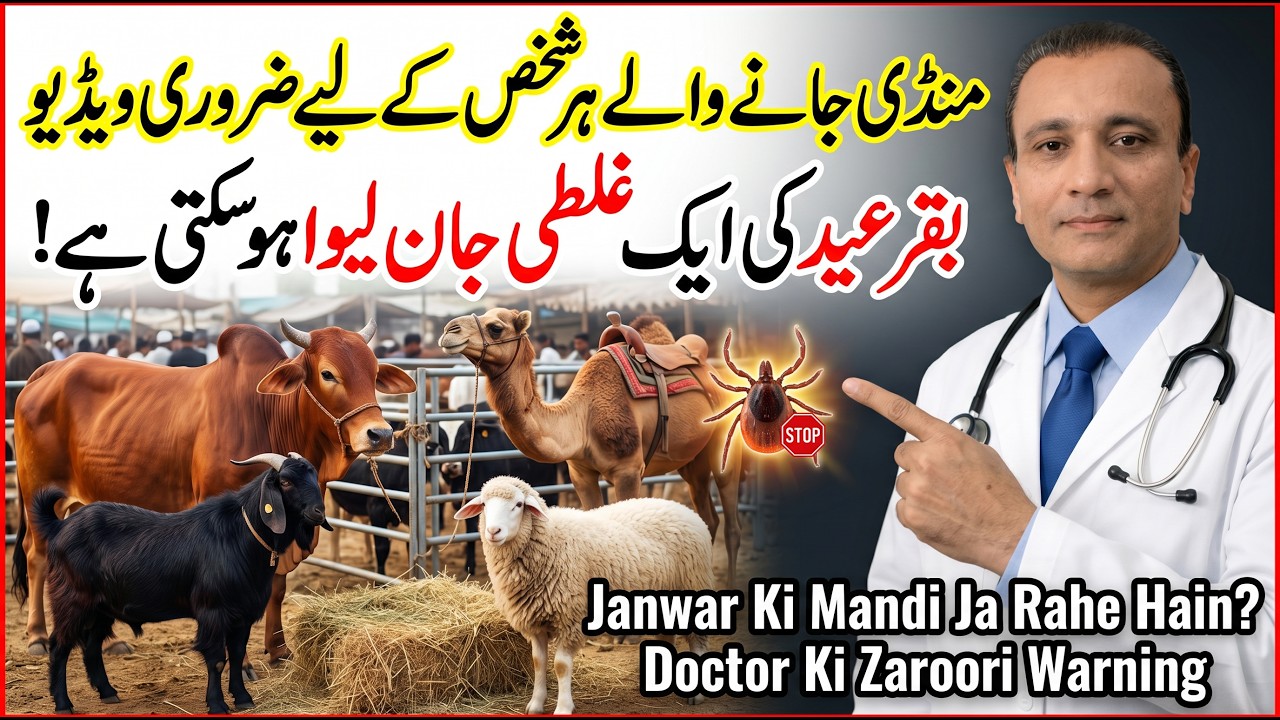 Baqr Eid Animal Market Health Tips | Congo Fever, Ticks & Safety Precautions by Doctor