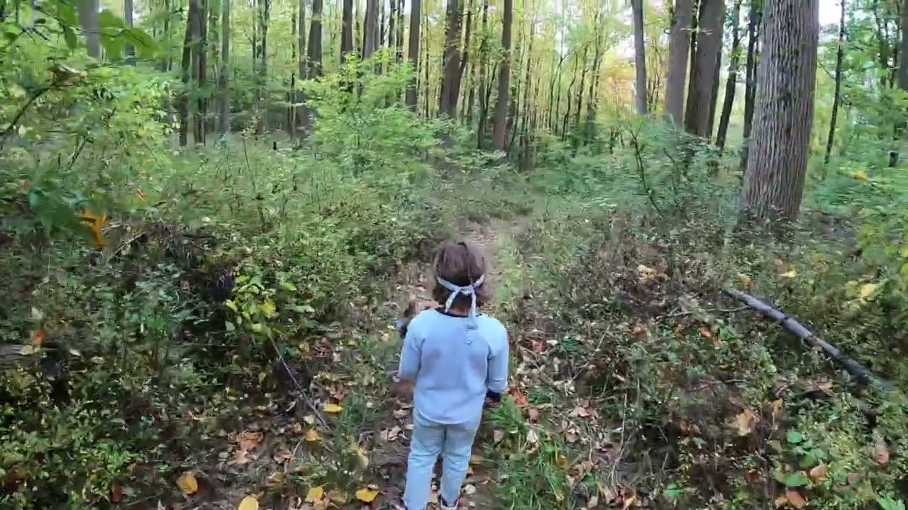 Hiking in Woodstock
