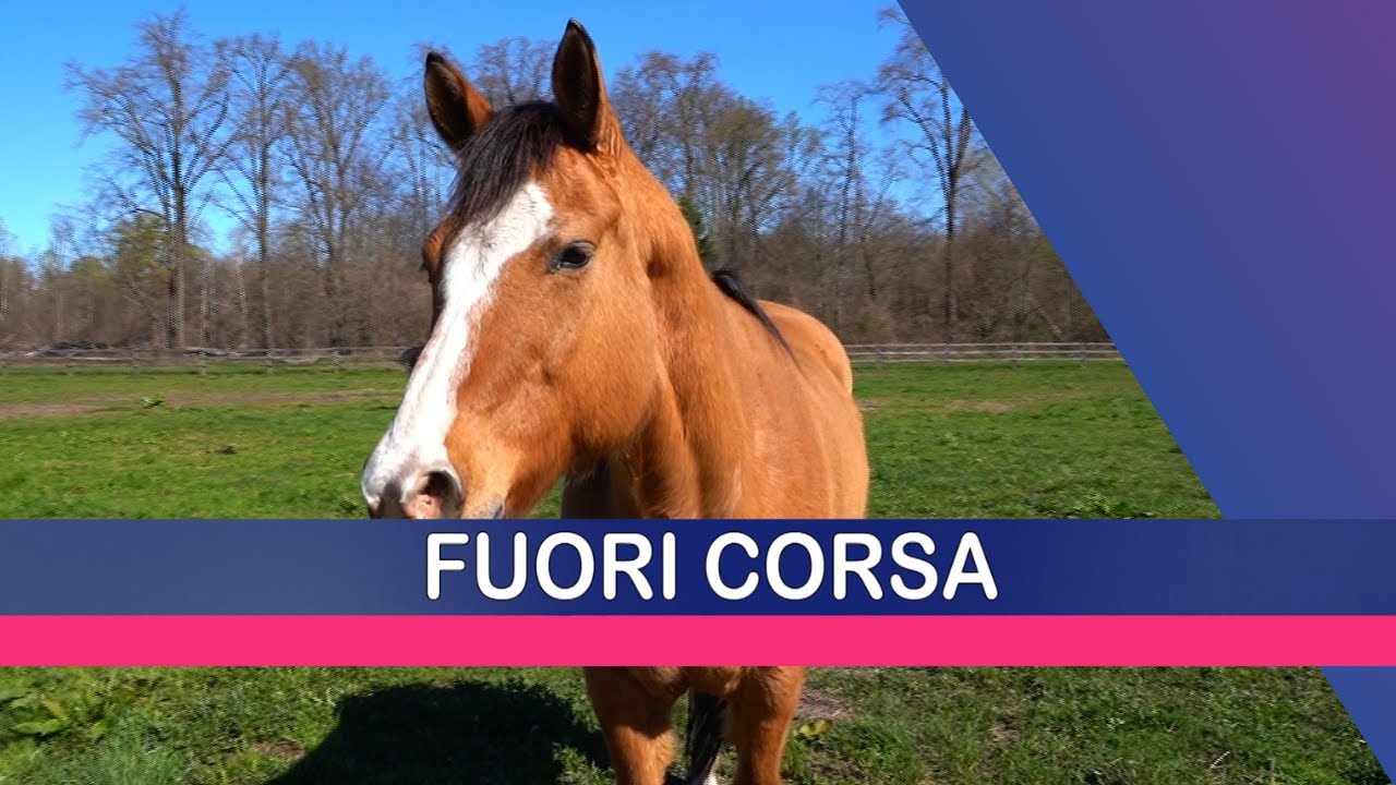 FUORI CORSA: NICOLE BERLUSCONI (02/04/24)