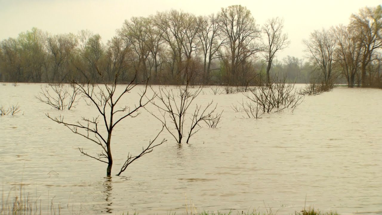 Help For Flood Affected Farmers