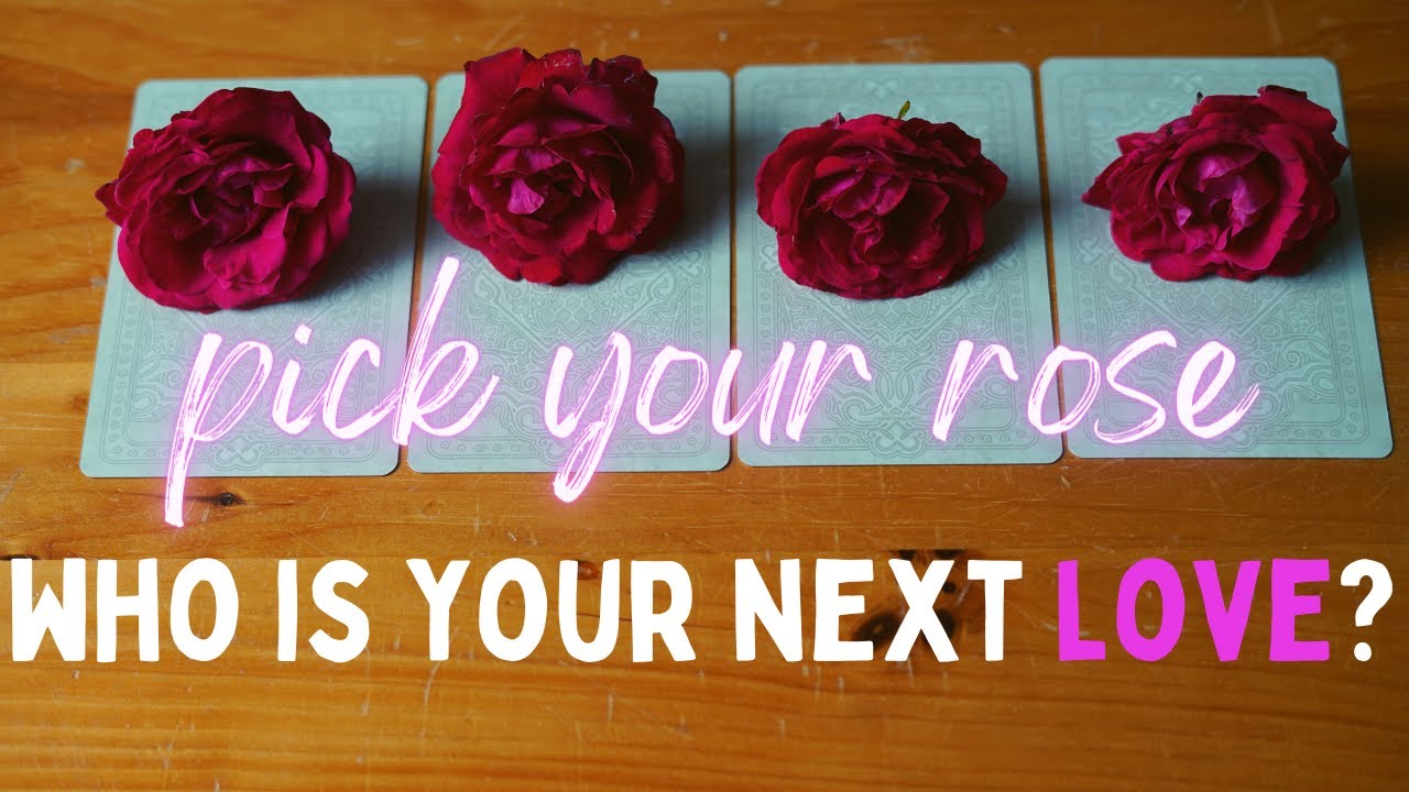 🌹What is next in LOVE? What Will The Relationship Be Like? *timeless and timely tarot*🌹