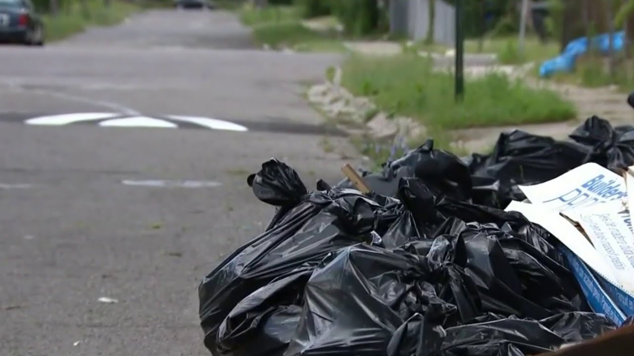 City cleans up northeast Detroit illegal dumping site