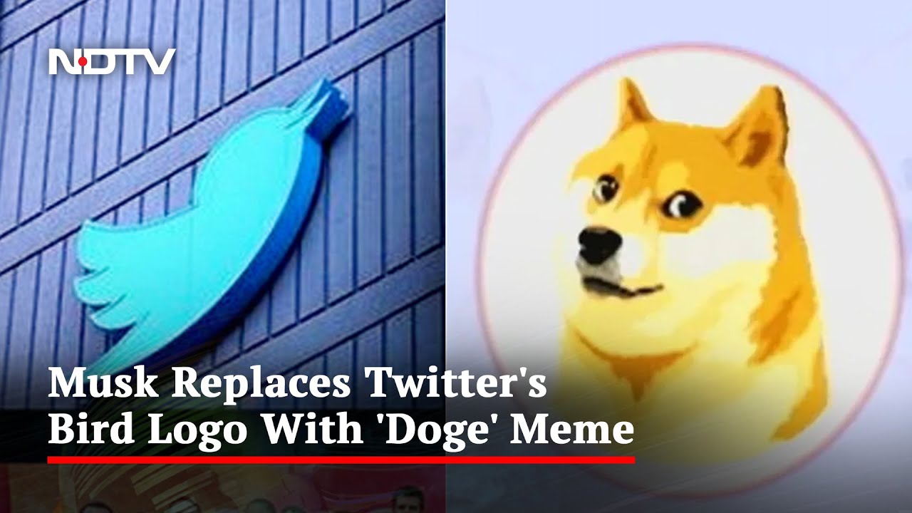 Elon Musk Replaces Twitter's Blue Bird Logo With 'Doge' Meme