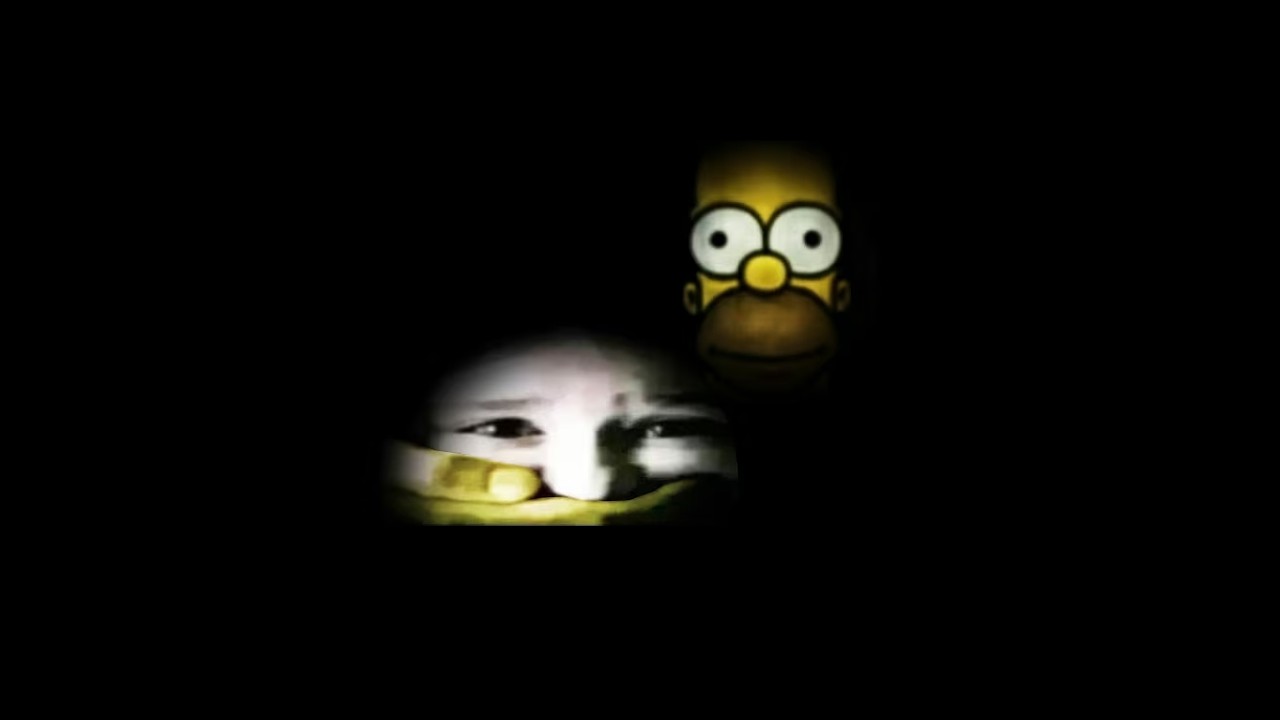 THE YOU VS HOMER EXPERIENCE