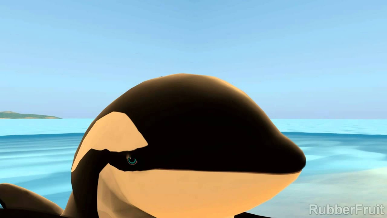 Orca Trouble