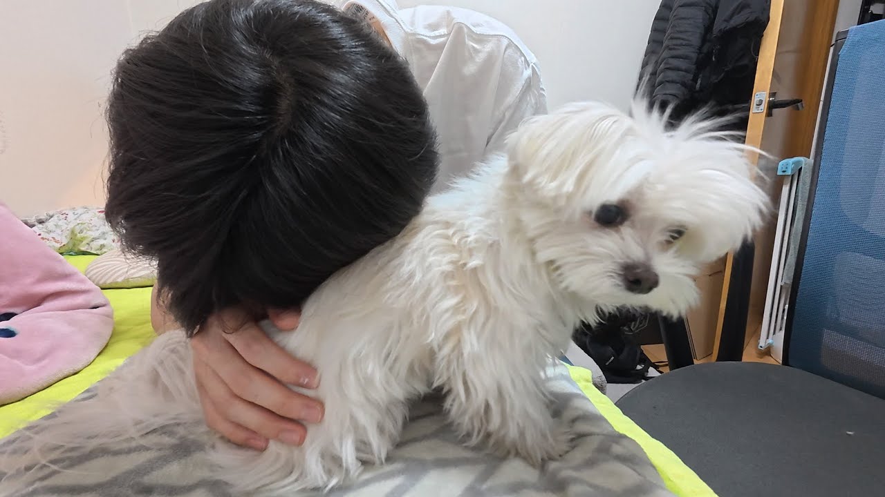 제발 우리 환희 그만 아프게 해주세요