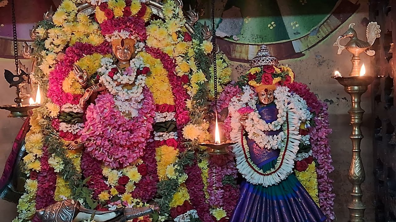 மாசி மகம் நடராஜர் அபிசேகம் | 🙏🙏🙏🙏🙏பார்பதற்கு கண் கோடி வேண்டும் 🙏🙏🙏🙏🙏