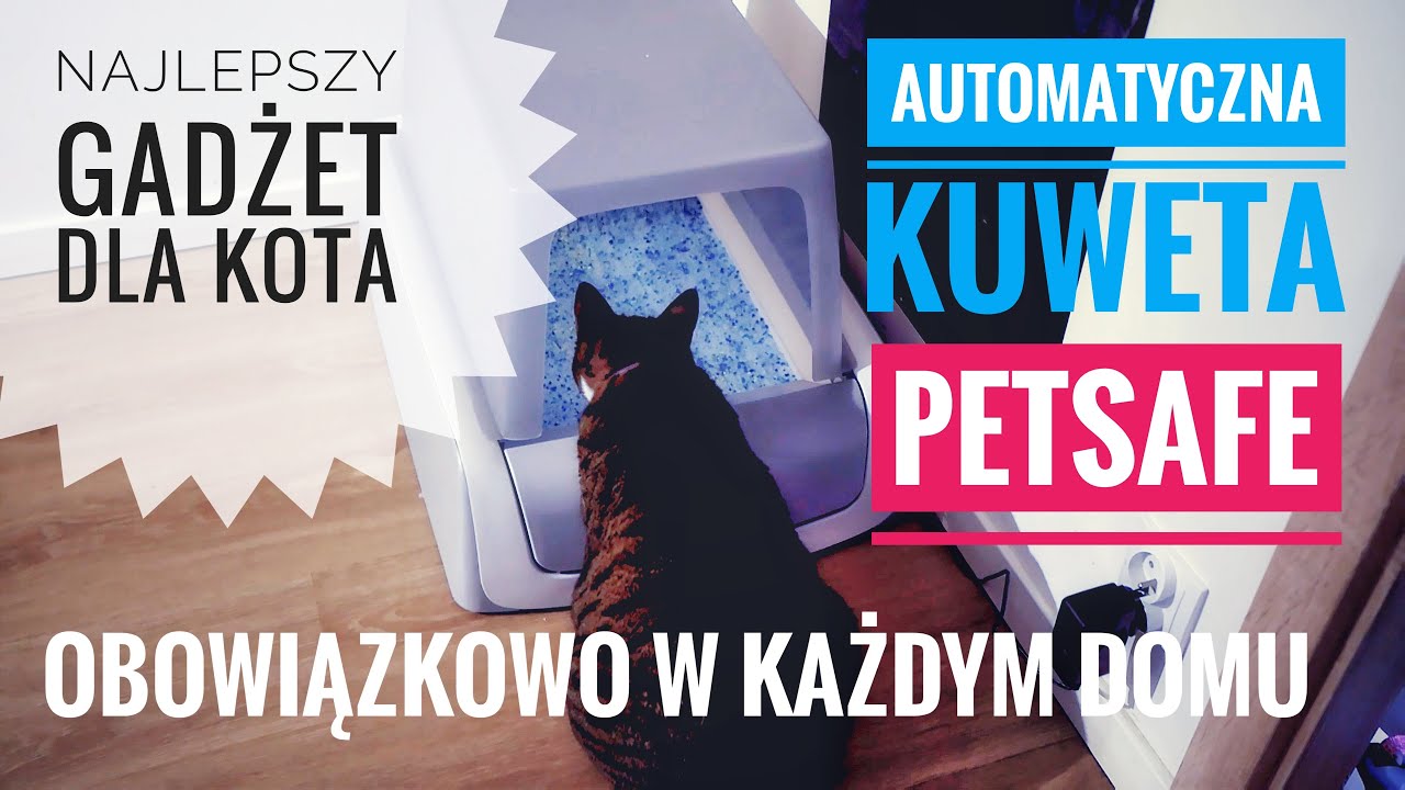 Najlepsze gadżety dla kota 2023 czyli Automatyczna Kuweta Pet Safe Samoczyszcząca Automatic Litter
