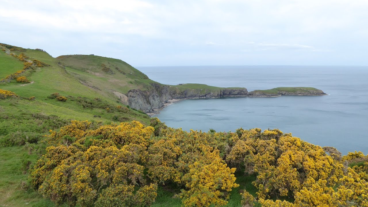 Llangrannog & Ynys Lochtyn Coastal Walk Scenery - Ceredigion Walks - Tour Wales Walking Holidays UK