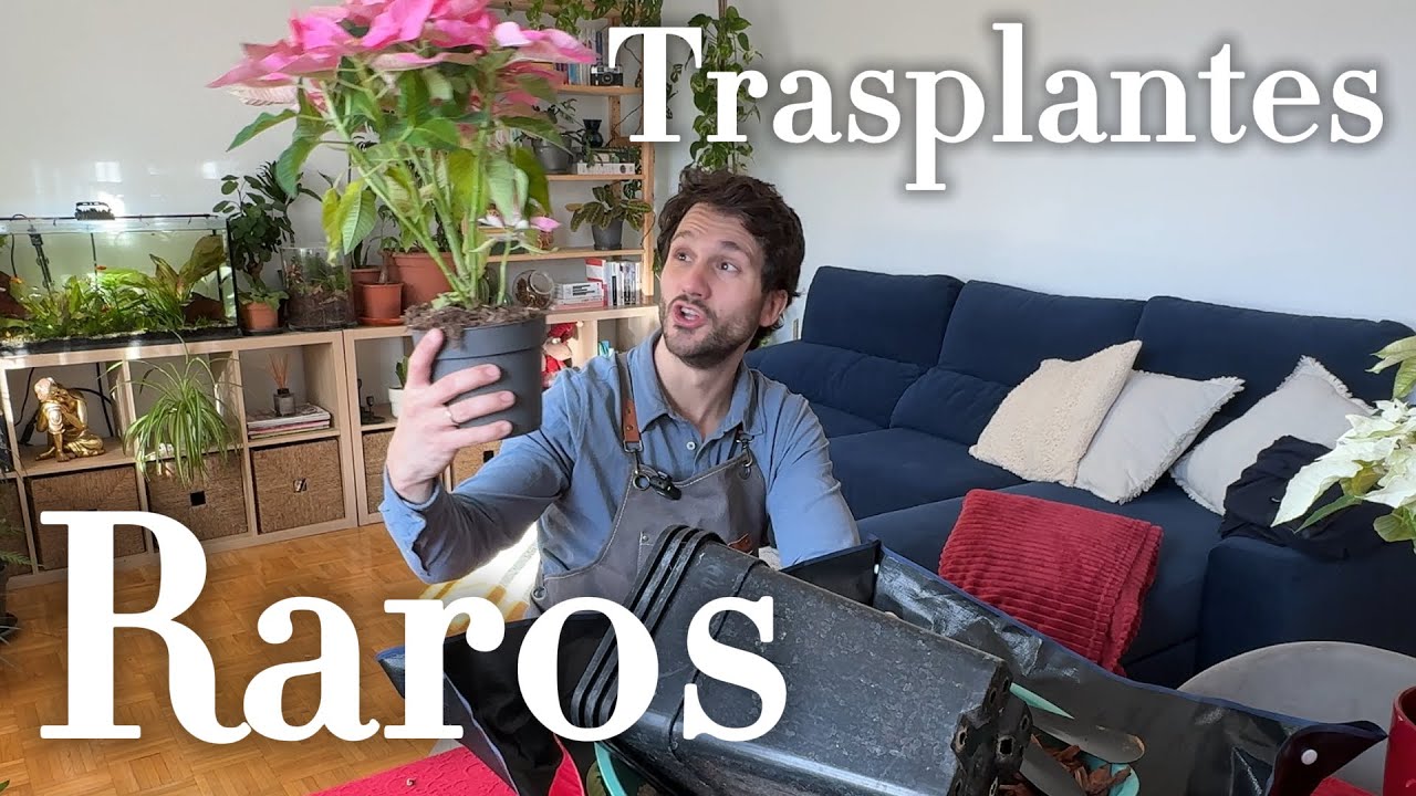 Acelera el Crecimiento de Tus Plantas Así
