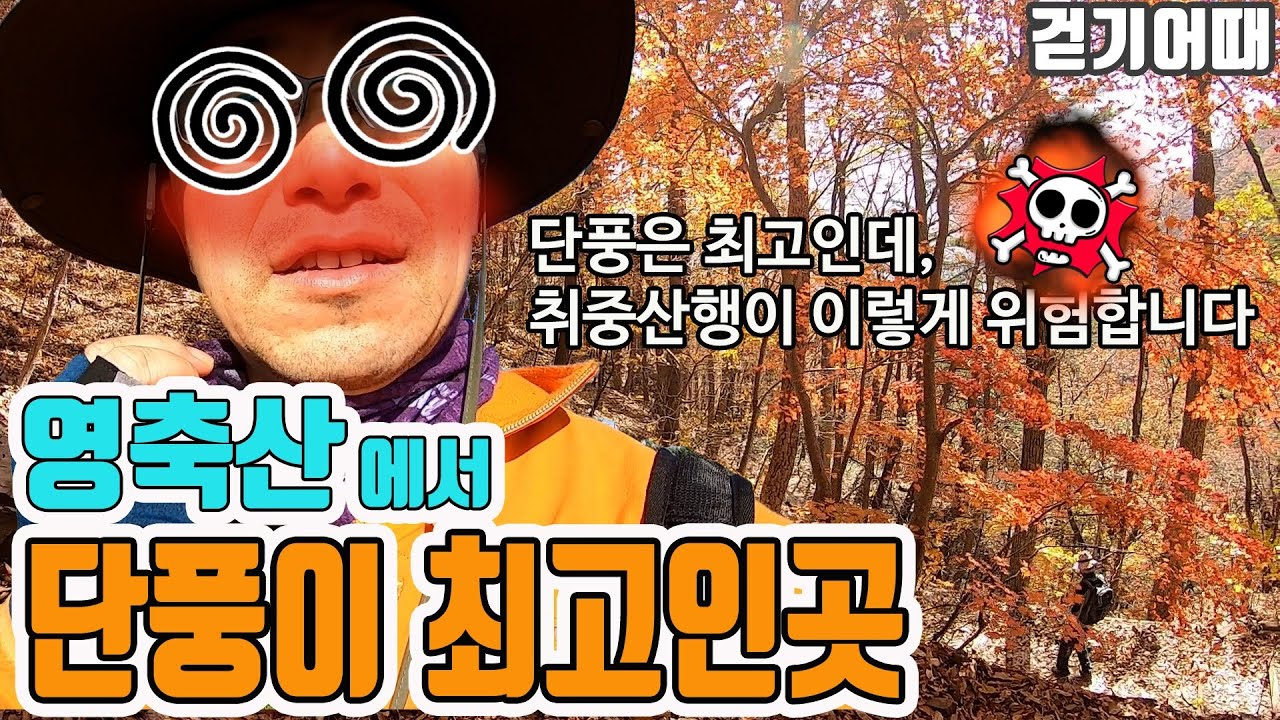 영남알프스 등산 코스 중 영축산 단풍이 최고인곳과 겁도 없이 음주산행의 위험 - 걷는놈