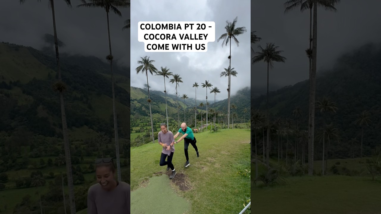 Part 20 🇨🇴Valle de Cocora! Subscribe for our Colombia series! #colombia #travel #travelcouple