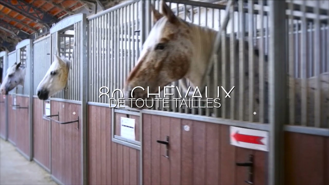 CENTRE EQUESTRE BAYARD UCPA VINCENNES 2