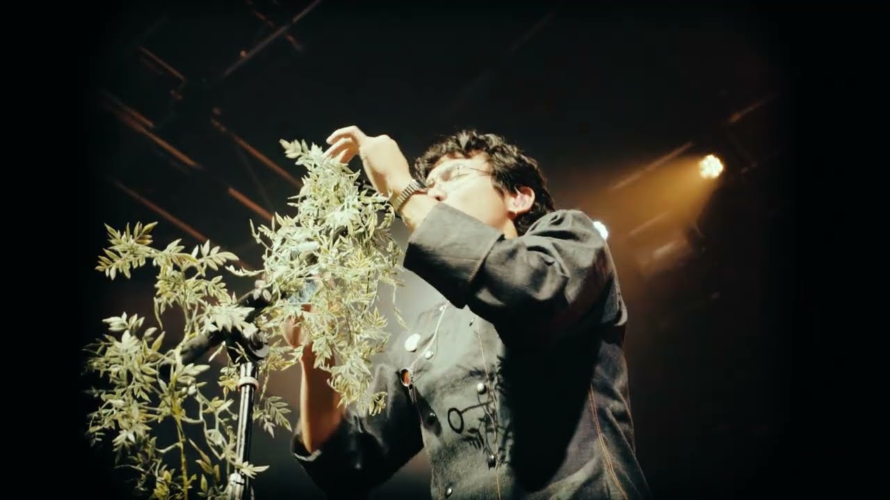 2DK (Live From the North America Tour)