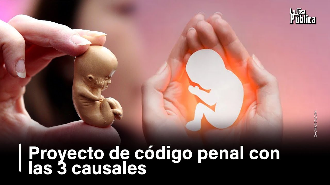 Proyecto de c&oacute;digo penal con las 3 causales