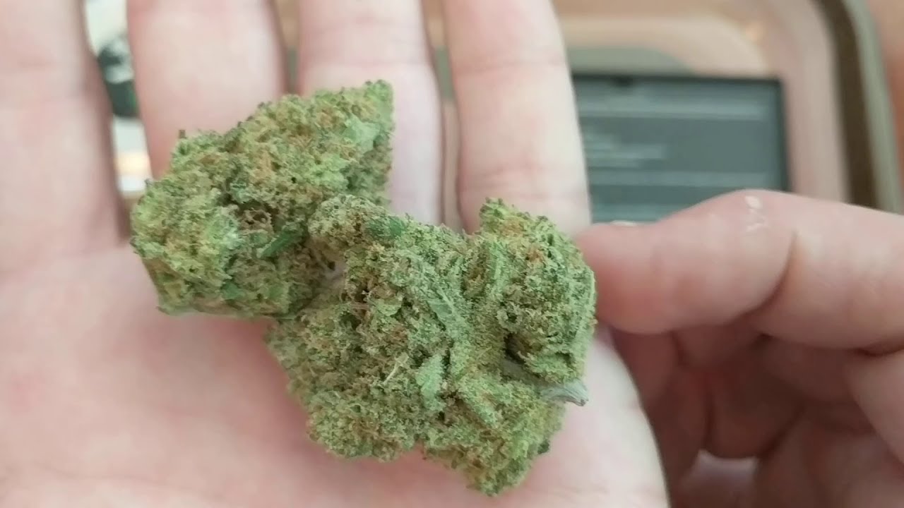 Strawberry Haze GrowHealthy 20% 🍓