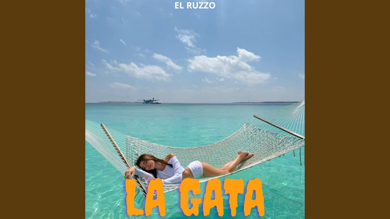 La gata