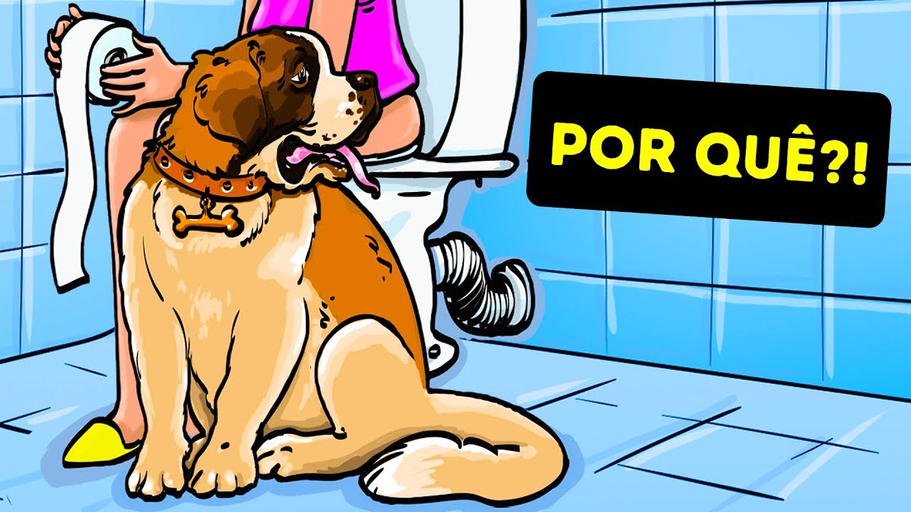 Por que seu Cão Segue Você Até o Banheiro
