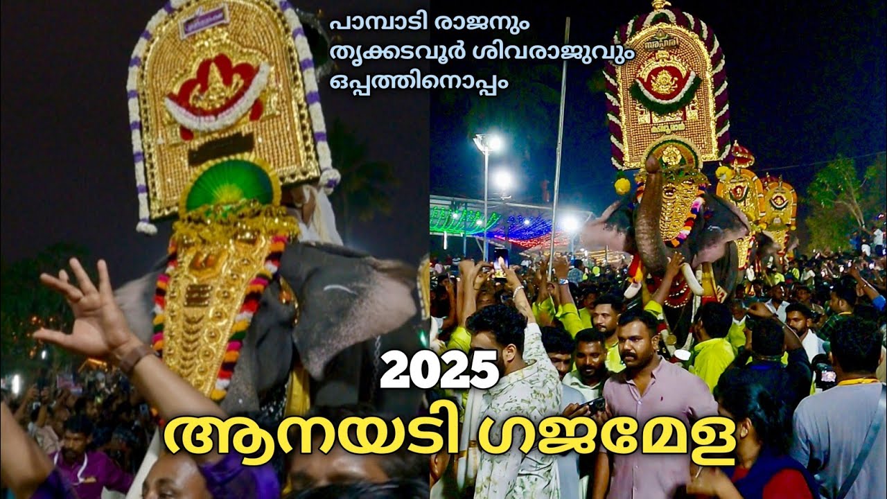 ആനയടി ഗജമേള 2025| പാമ്പാടി രാജനും ശിവരാജുവും നിറഞ്ഞാടിയ ആനയടി ഗജമേള |Anayadi Gajamela 2025