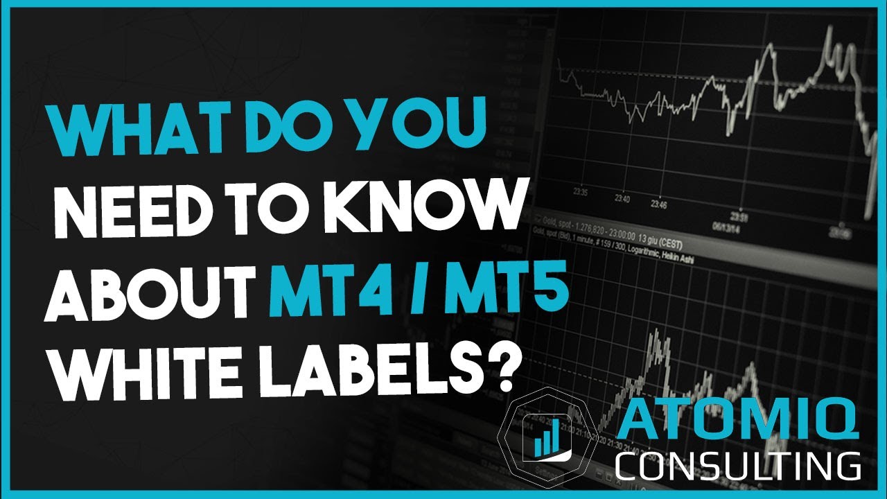 Everything You Wanted to Know About MT4/MT5 White Labels