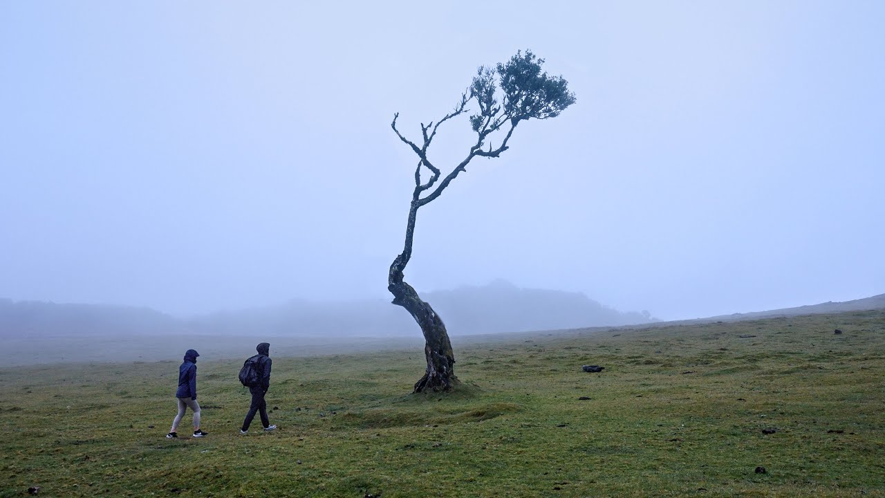 Hiking for 4 days in Madeira Portugal