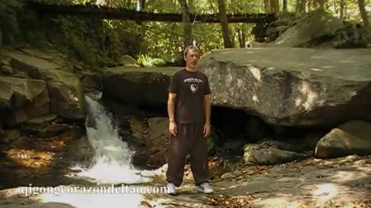 Qigong Corazón del Tao (Ciclo de los Riñones)