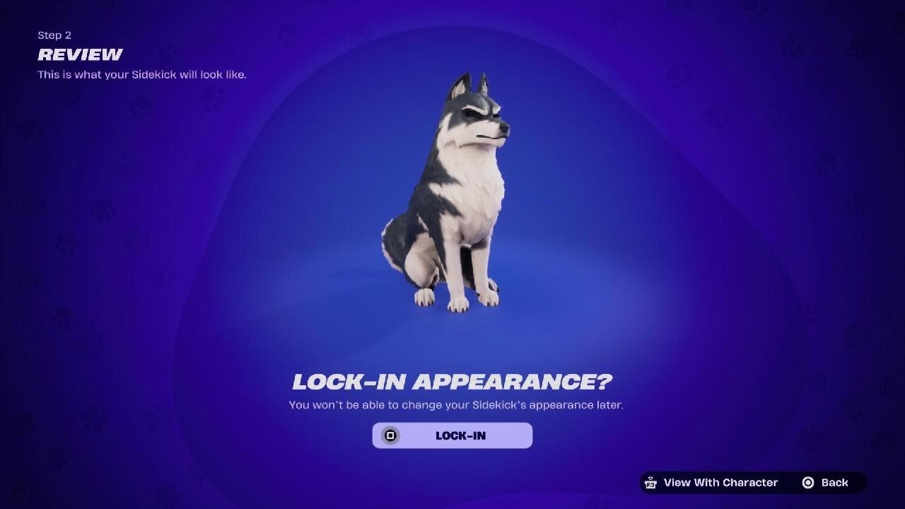 Fortnite Lucas First Victory Royale