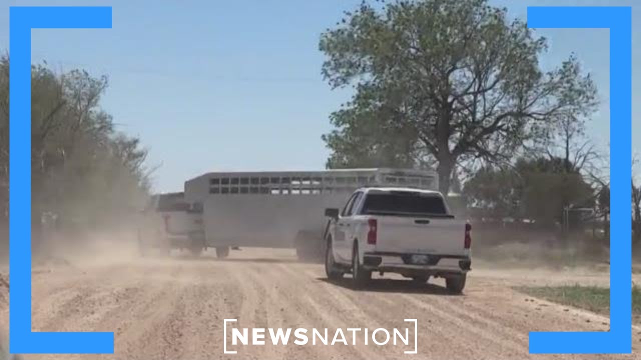 'God's Misfits' group at center of Kansas missing moms investigation | NewsNation Now