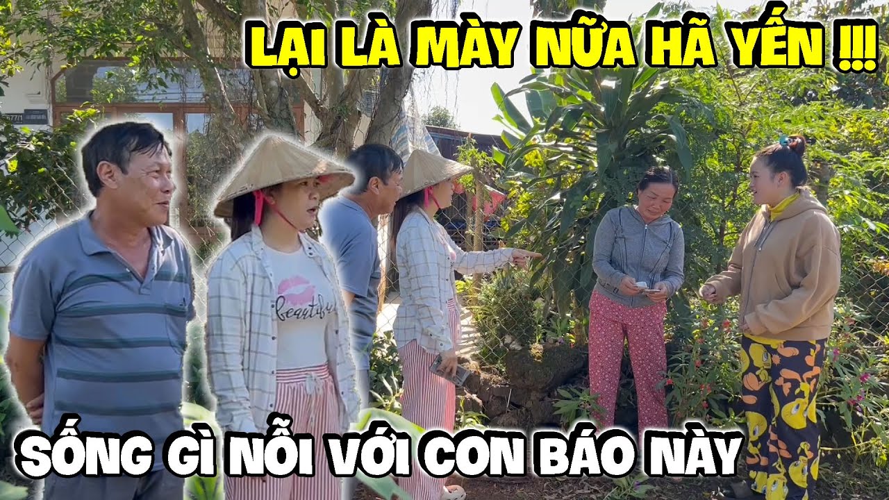 Dì Hương Linh Ế Tức Đỏ Mặt Khi Yến Báo Nói Ra Sự Thật Này | Hải Ka Vlogs